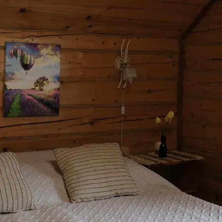 Dom wakacyjny гірські будиночки