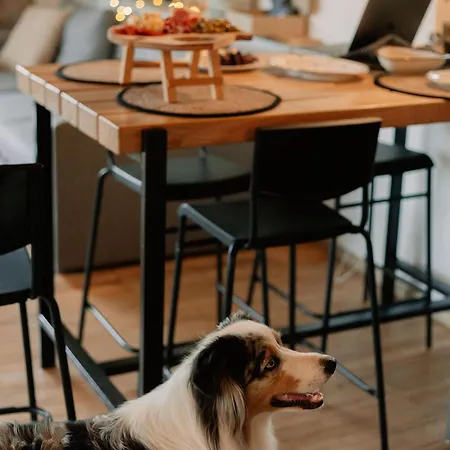 Feriehus гірські будиночки Zhdenijevo