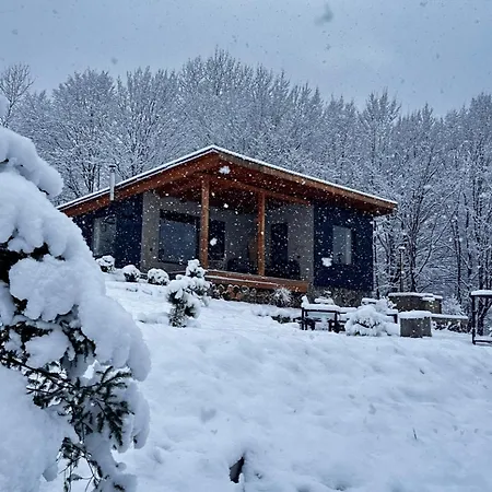 Dom wakacyjny гірські будиночки Żdenijewo