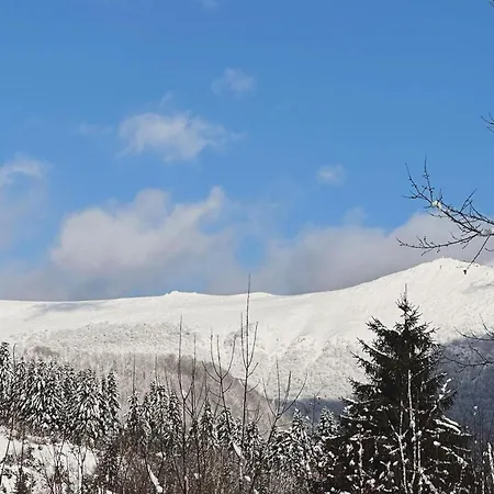 гірські будиночки Feriehus Zhdenijevo