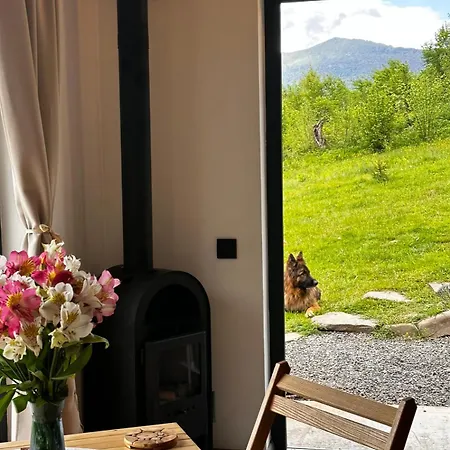 Дом отдыха гірські будиночки *