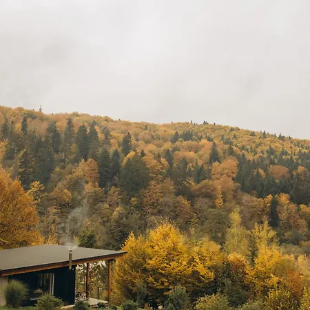 гірські будиночки Дом отдыха *