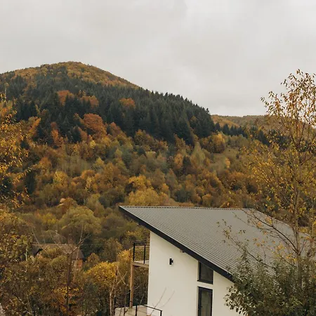 Дом отдыха гірські будиночки Ждениево
