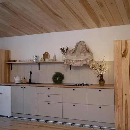 Dom wakacyjny гірські будиночки